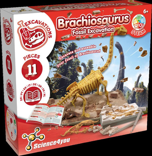 Fossil Excavation - Brachiosaurus