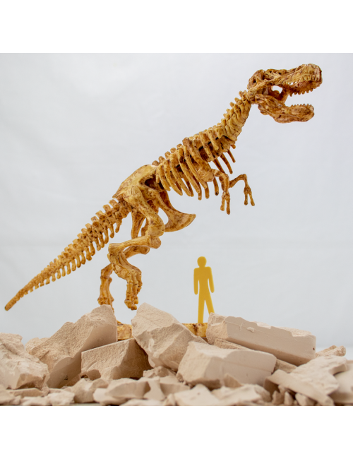 Dinosaur T Rex Kit de Fouille Jouet Éducatif et Scientifique pour