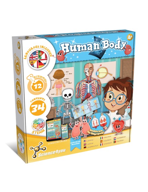 Human Body