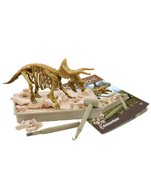 Triceratops Fossil Excavation | Scientific and Educational Toys for ...