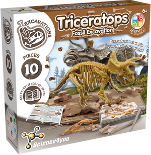 Triceratops - Fossil Excavation