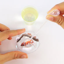 Peppa Pig Nature Explorer