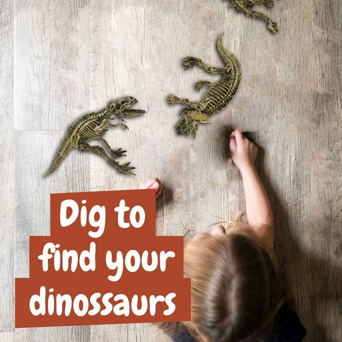 Ausgrabungsset Dinosaurier Fossilien 3 in 1