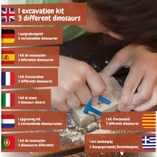 Fossil Excavation 3 in 1