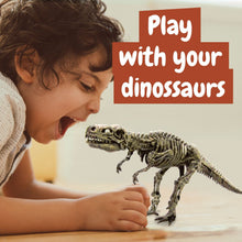 Fossil Excavation 3 in 1