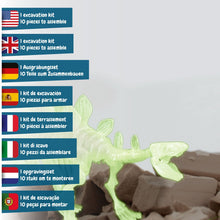 Fossilienausgrabungen leuchten im Dunkeln - Stegosaurus