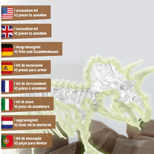 Fossilienausgrabungen leuchten im Dunkeln - Triceratops