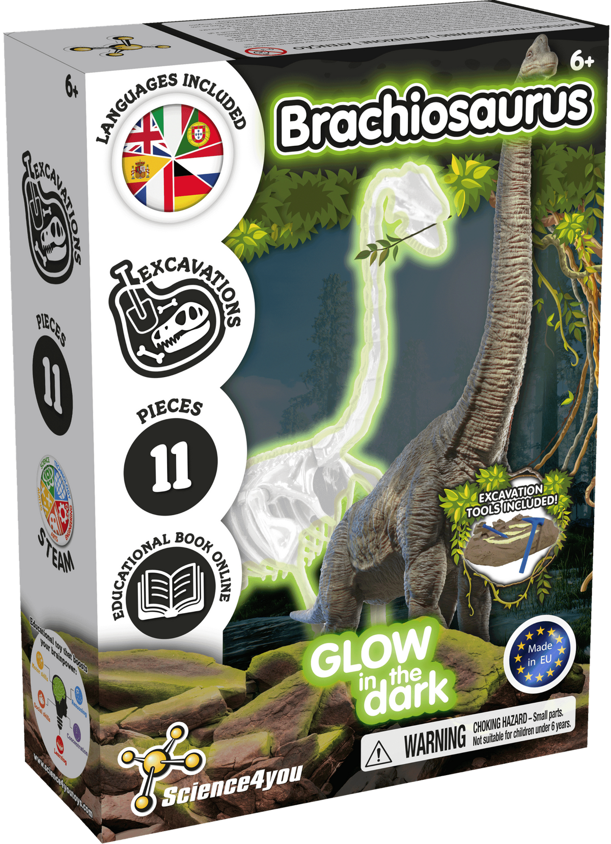 Fossilienausgrabungen leuchten im Dunkeln - Brachiosaurus