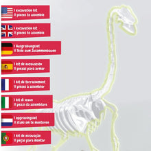 Les fouilles de fossiles brillent dans l'obscurité - Brachiosaurus