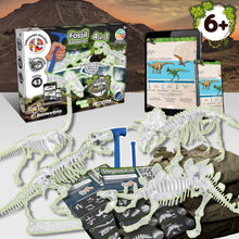 Excavations de fossiles 4 en 1 GID