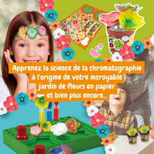 Flores de Papel Lab Multi