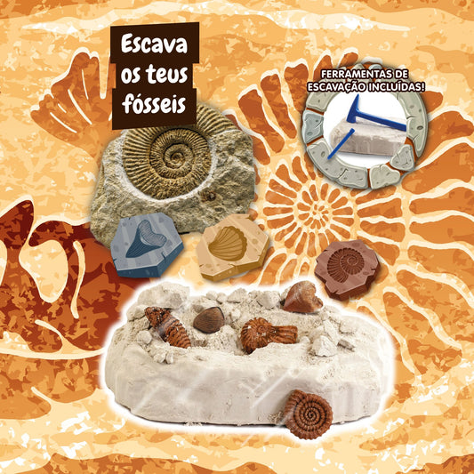 Fossil Excavation - Multilingual Version