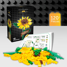 Kit de Construction Tournesol