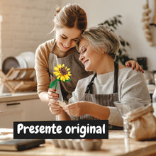 Sunflower Building Kit