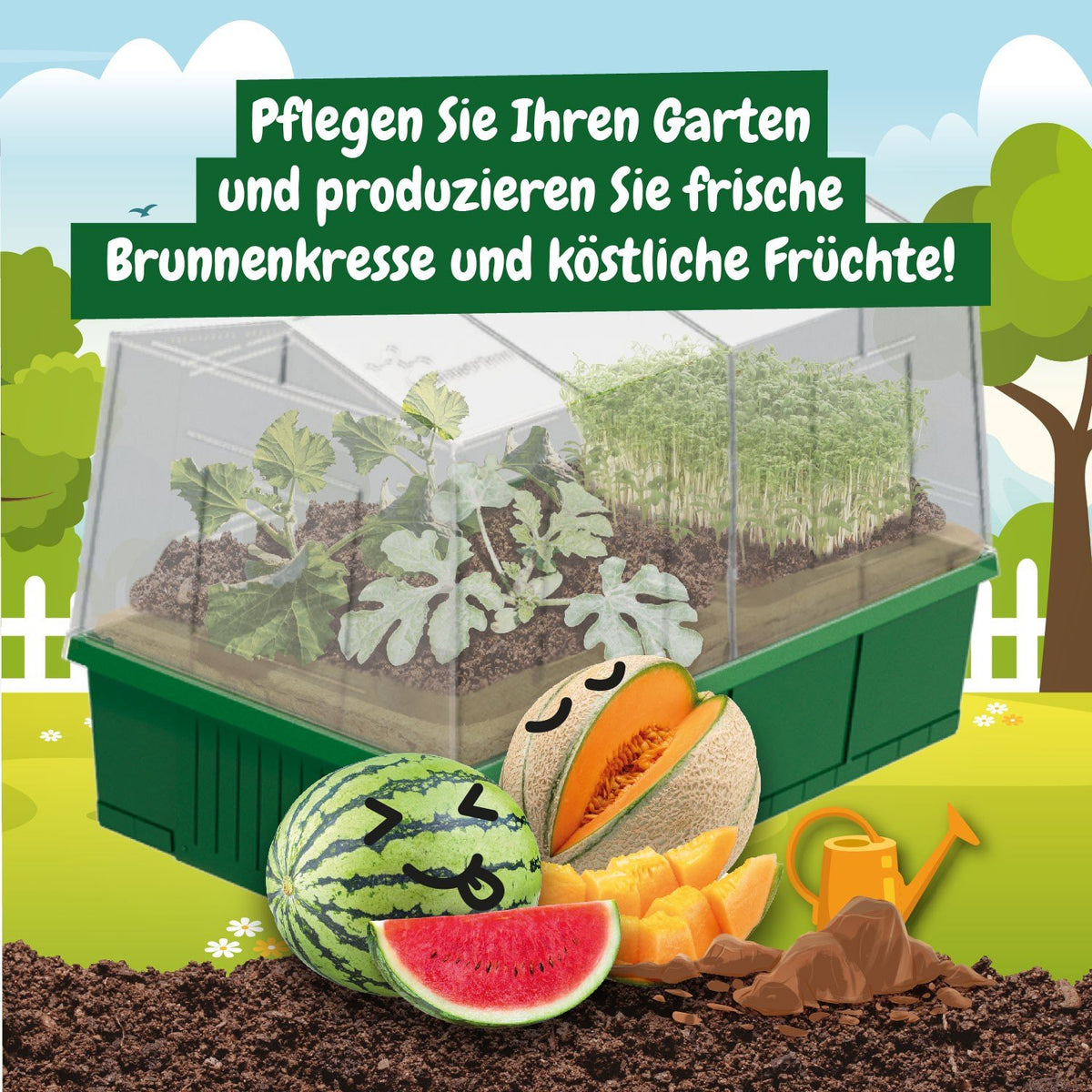 Mein Erstes Gewächshaus