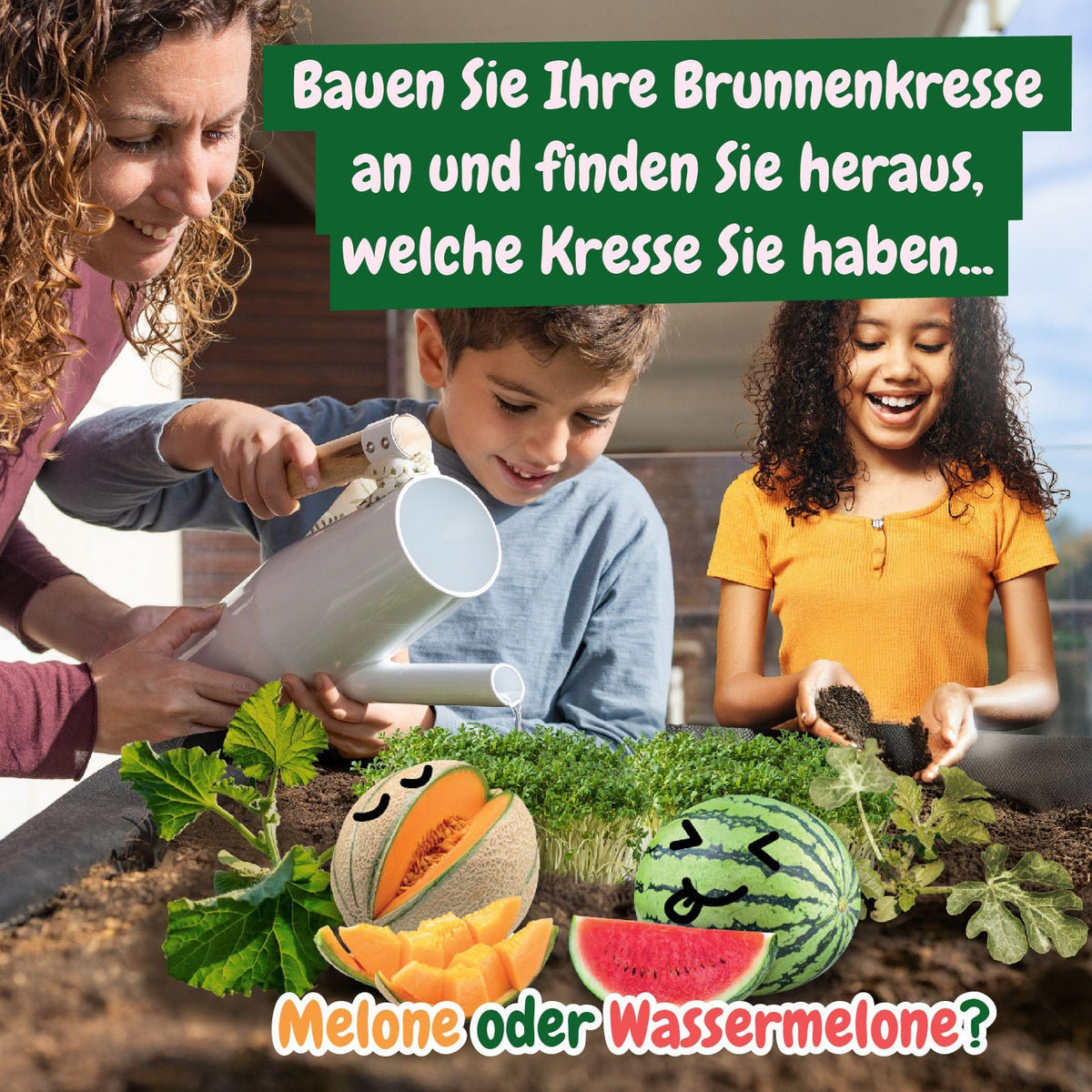Mein Erstes Gewächshaus