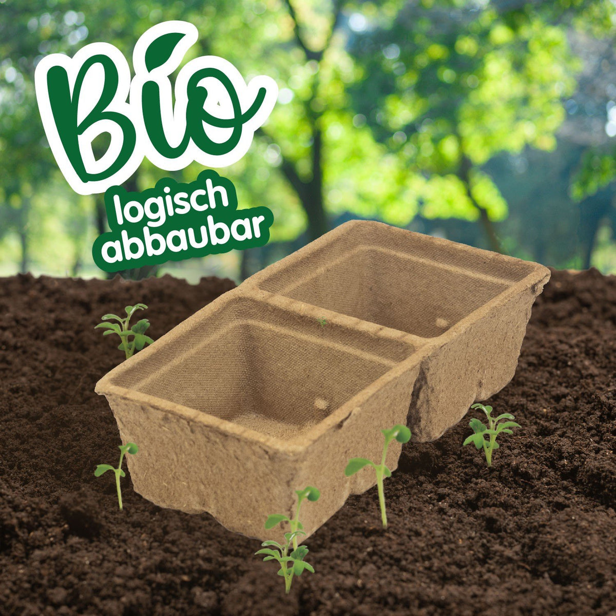 Mein Erstes Gewächshaus