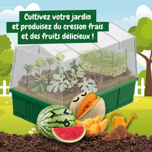 Ma Première Serre