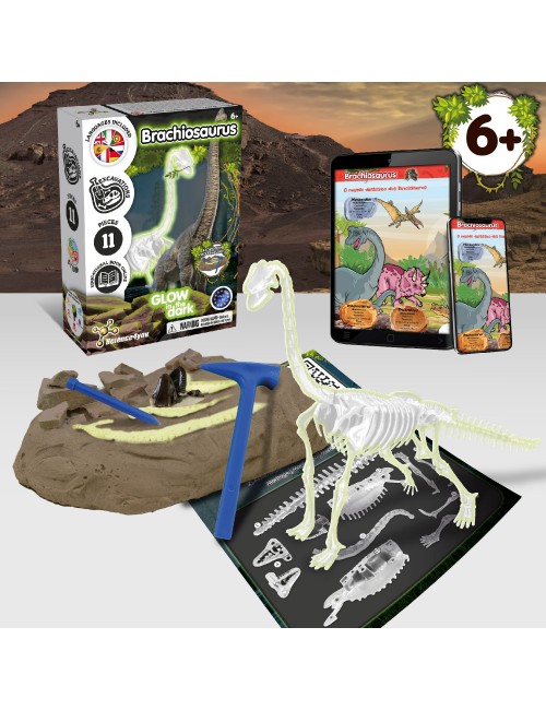 Science4you - Jogo de exploração jurássica com kit de paleontologia e  puzzle de dinossauros ㅤ, DIVERSOS