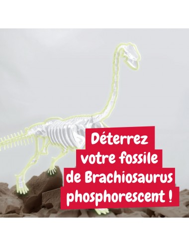 Science4you - Brachiosaurus, Kit de Fouille pour Enfant +6 Ans