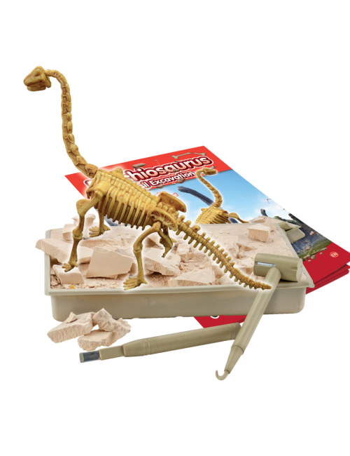 Science4you - Jogo de exploração jurássica com kit de paleontologia e  puzzle de dinossauros ㅤ, DIVERSOS
