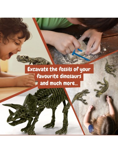 Kit de fouille fossiles de dinosaures Bandai : King Jouet, Jeux